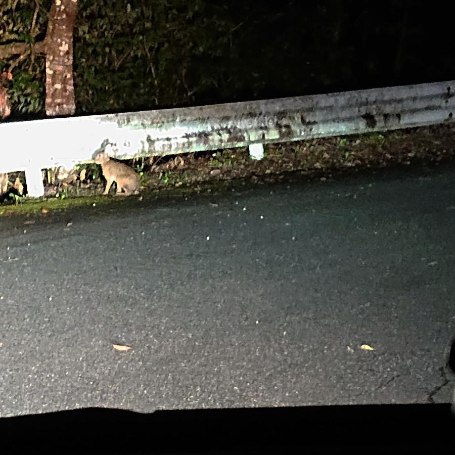 ホテルペンション北斗星 津和野町 エクステリア 写真